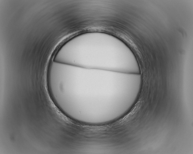 X0000111160984200907281149
