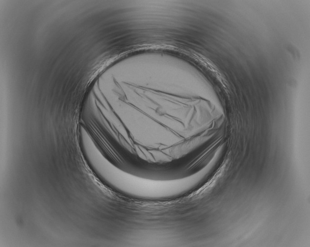 X0000111160985200907281149