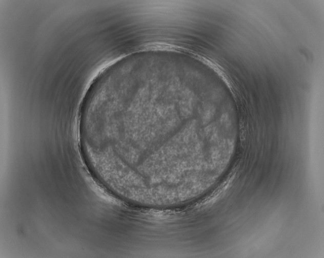 X0000111160987200907281149