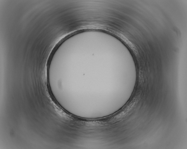 X0000111160988200907281149