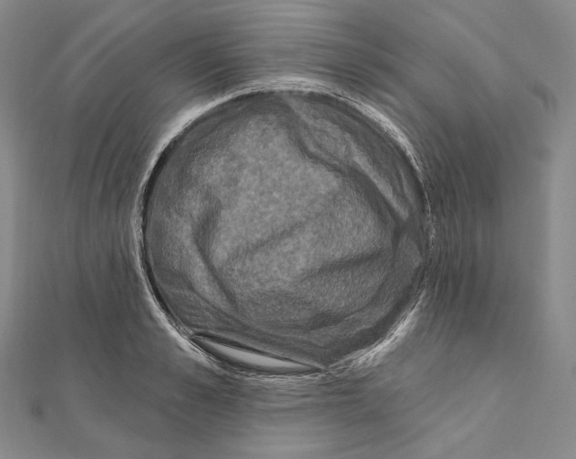 X0000111160989200907281149