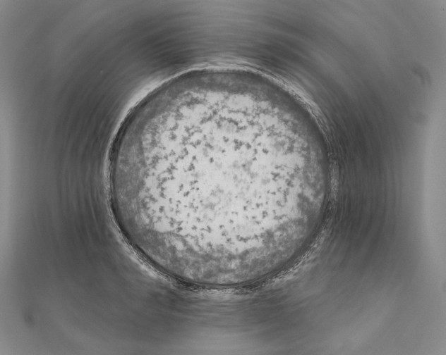 X0000111160990200907281149
