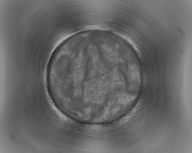 X0000111160991200907281149