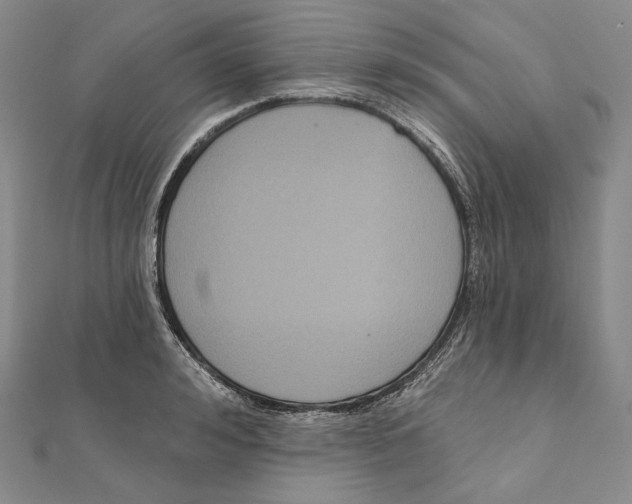 X0000111160992200907281149