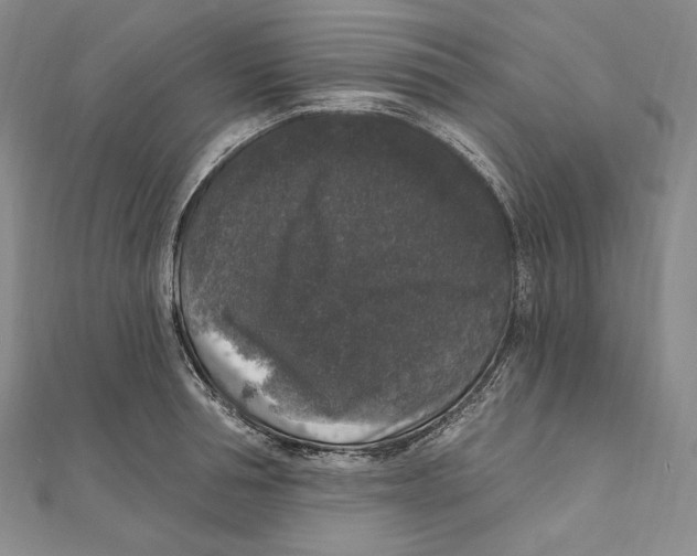 X0000111160994200907281149