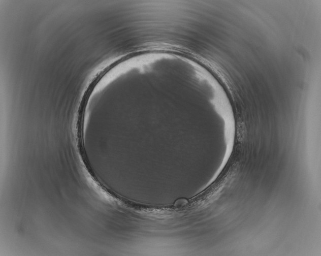 X0000111160995200907281149