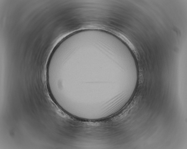 X0000111160996200907281149