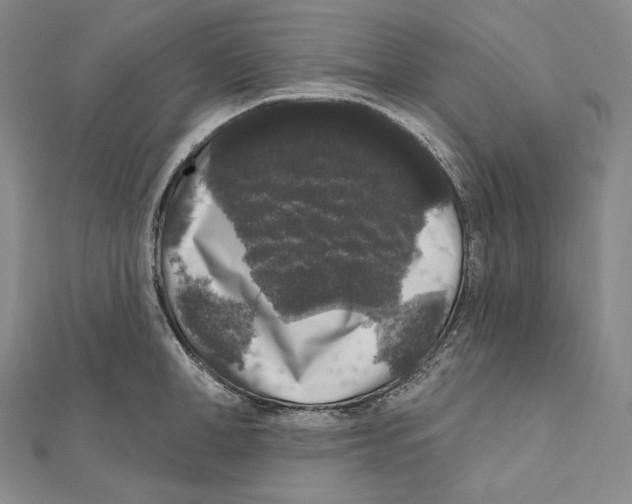 X0000111160998200907281149