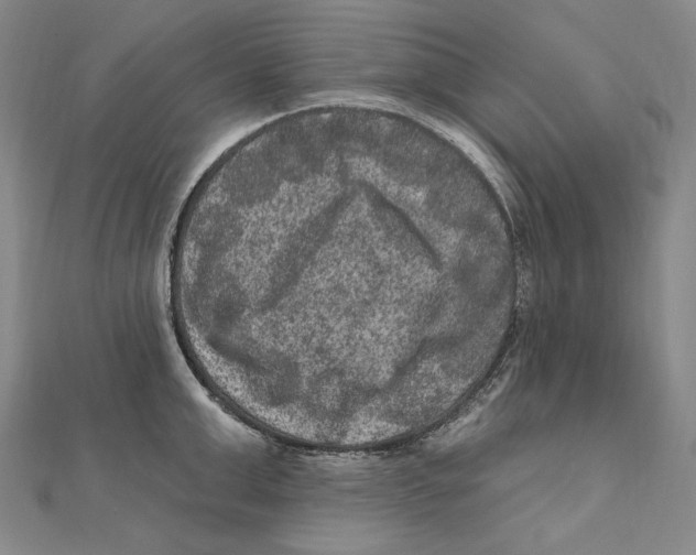 X0000111160999200907281149