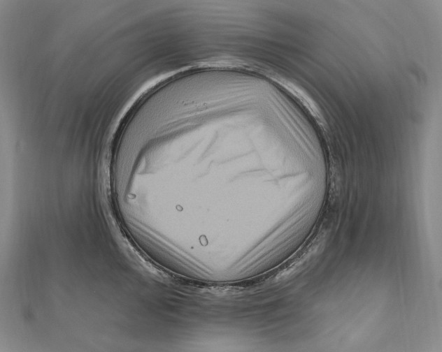X0000111161000200907281149