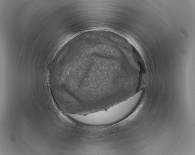 X0000111161001200907281149