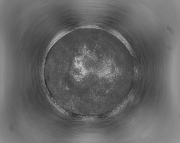 X0000111161002200907281149