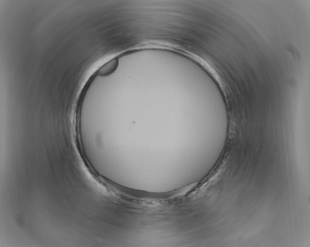X0000111161003200907281149