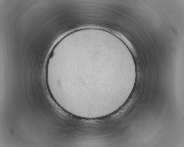 X0000111161004200907281149