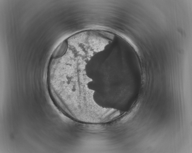 X0000111161007200907281149