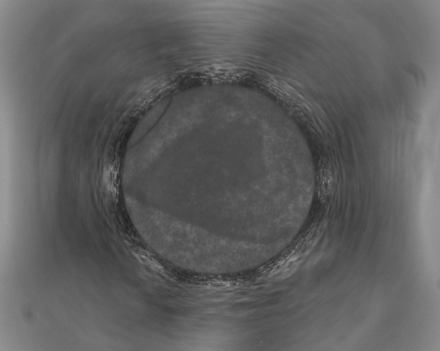 X0000111161010200907281148