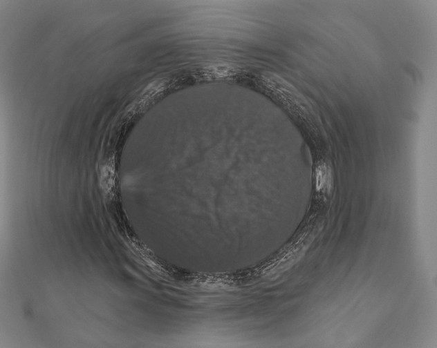 X0000111161011200907281148