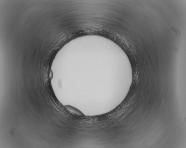 X0000111161012200907281148