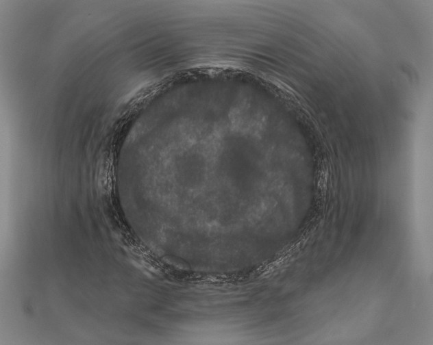 X0000111161014200907281148