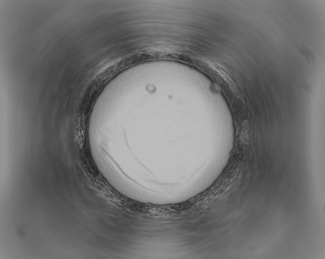 X0000111161015200907281148