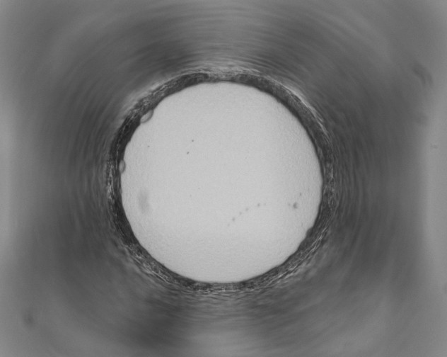 X0000111161016200907281148