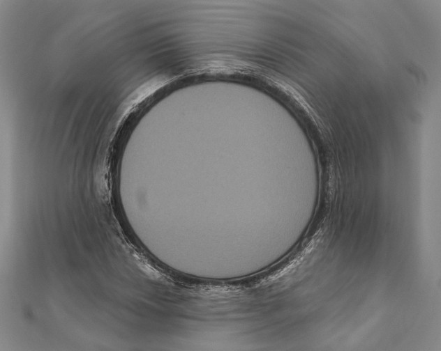 X0000111161018200907281148