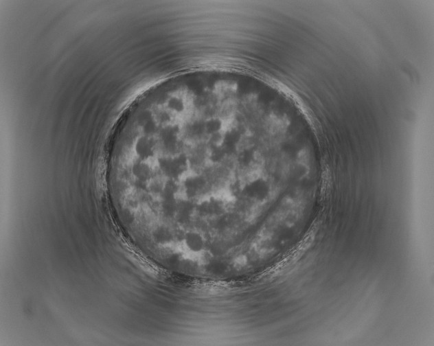 X0000111161019200907281148