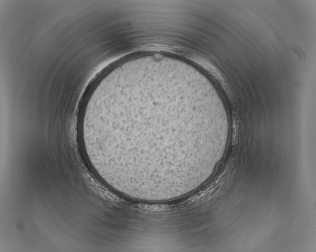 X0000111161020200907281148