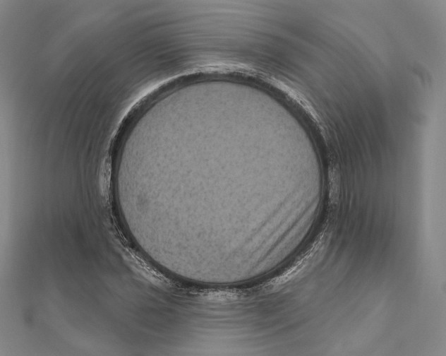 X0000111161021200907281148