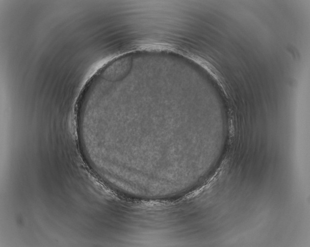 X0000111161022200907281148