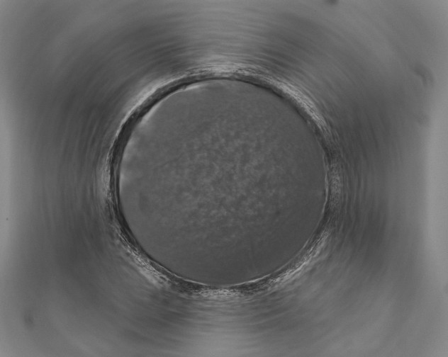 X0000111161023200907281148