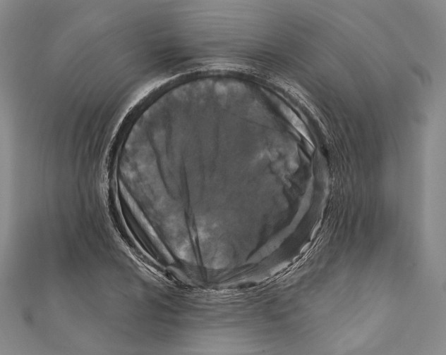 X0000111161024200907281148