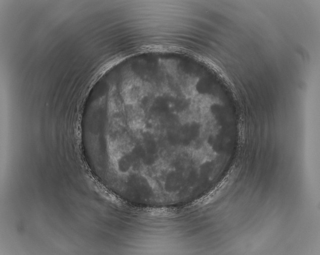 X0000111161025200907281148