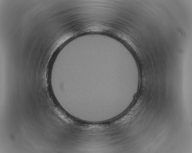 X0000111161026200907281148