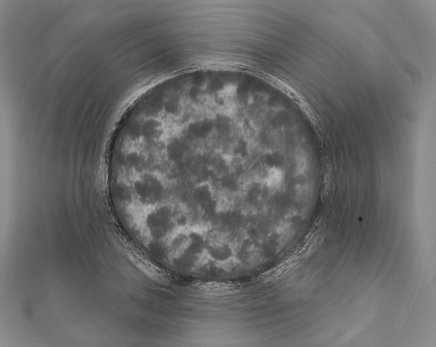 X0000111161027200907281148