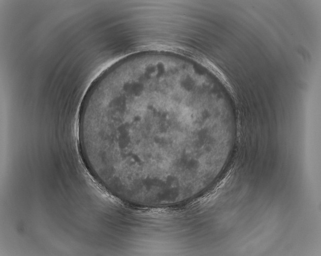 X0000111161028200907281148