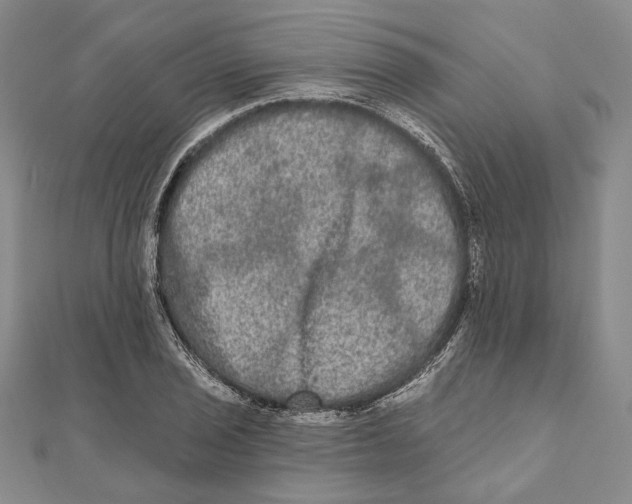 X0000111161029200907281148