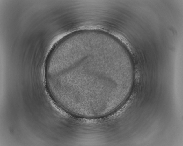 X0000111161030200907281148