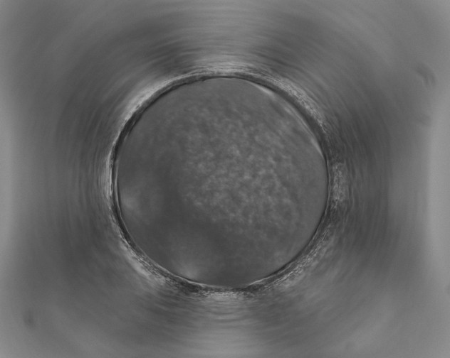 X0000111161031200907281148