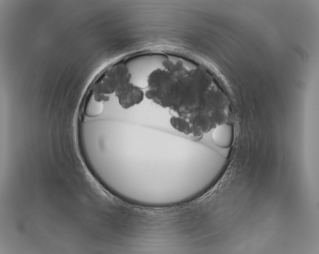 X0000111161032200907281148