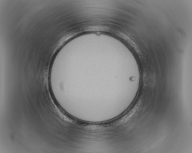 X0000111161033200907281148