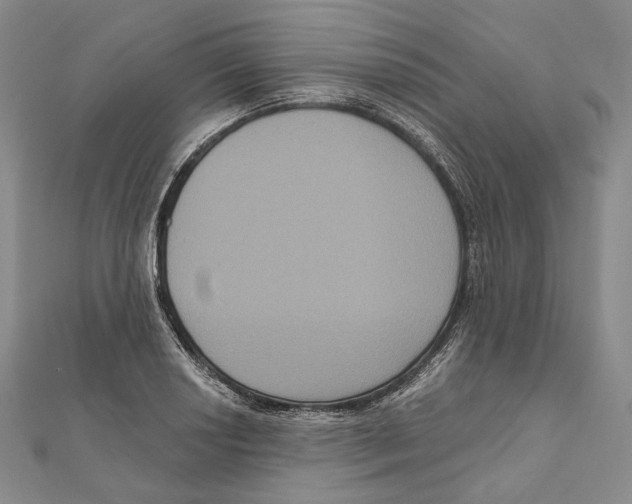 X0000111161034200907281148