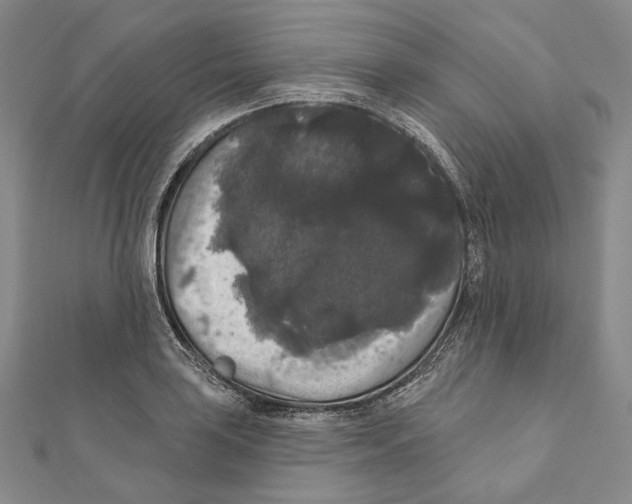 X0000111161035200907281148