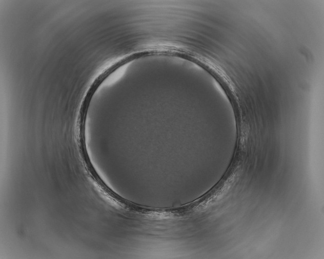 X0000111161037200907281149