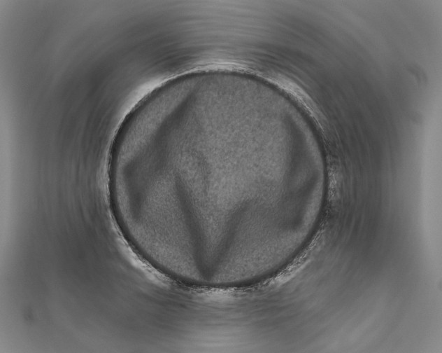 X0000111161038200907281149