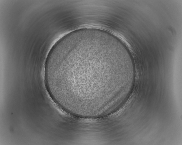X0000111161040200907281149