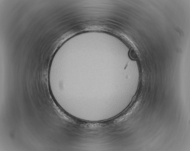 X0000111161041200907281149
