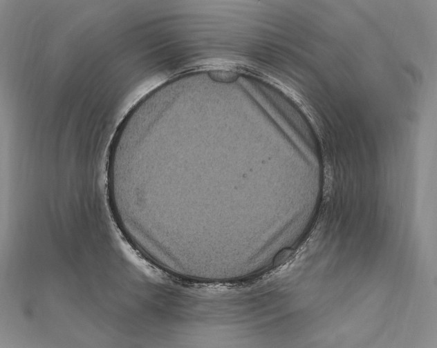 X0000111161042200907281149