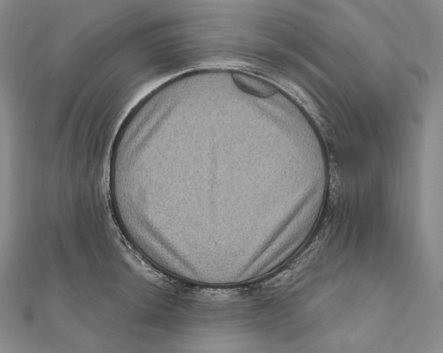 X0000111161044200907281149