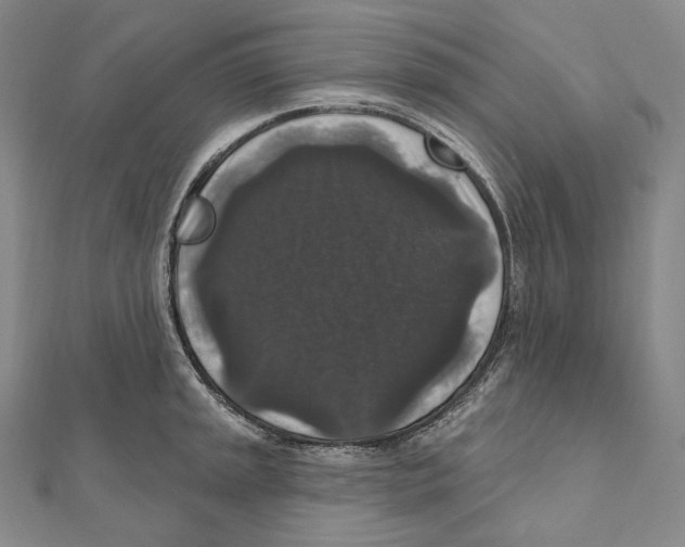 X0000111161045200907281149